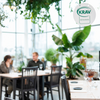 Takmobil KRAV-märkt restaurang - grundmärke